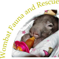 Wombat Fauna and Rescue
