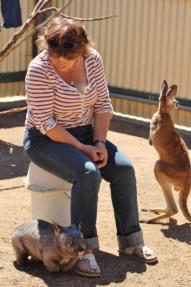 Photo from Wombat Fauna and Rescue