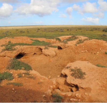 Expeditions photo